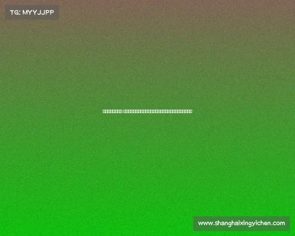 内政联队今天赛事 内政联队今日关键赛事激情开战全队拼搏球迷助威冲刺胜利时刻